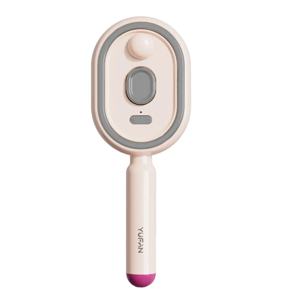 Wet Electrics Hairbrush