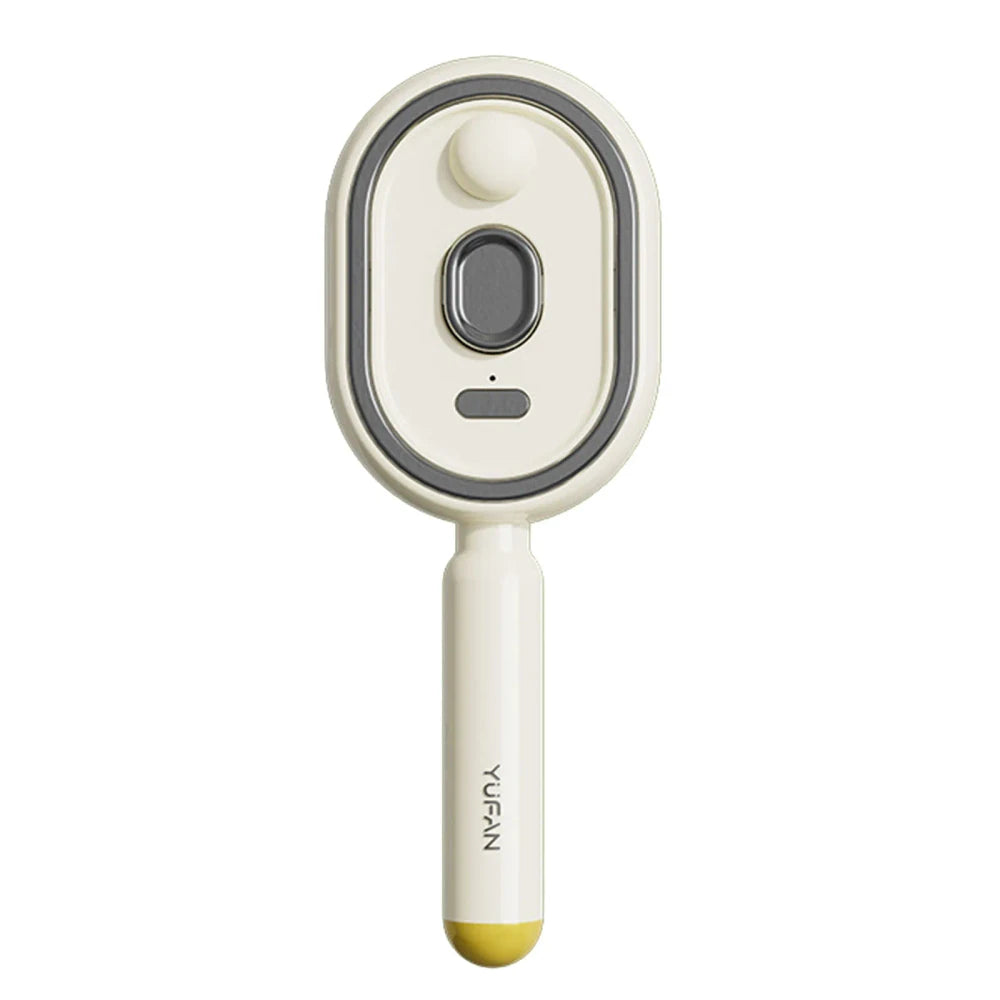Wet Electrics Hairbrush