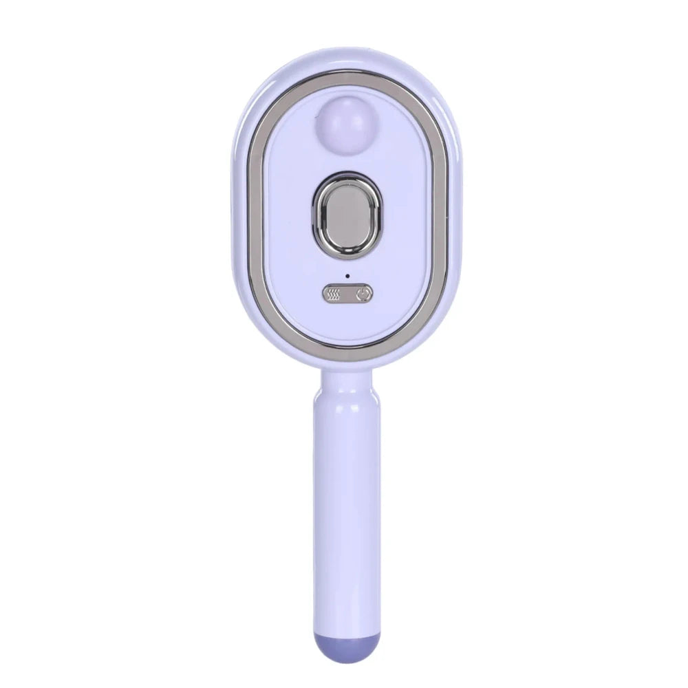 Wet Electrics Hairbrush